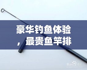 豪華釣魚(yú)體驗(yàn)，最貴魚(yú)竿排行榜前十名揭曉