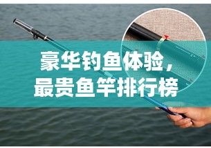 豪華釣魚體驗,最貴魚竿排行榜前十名揭曉