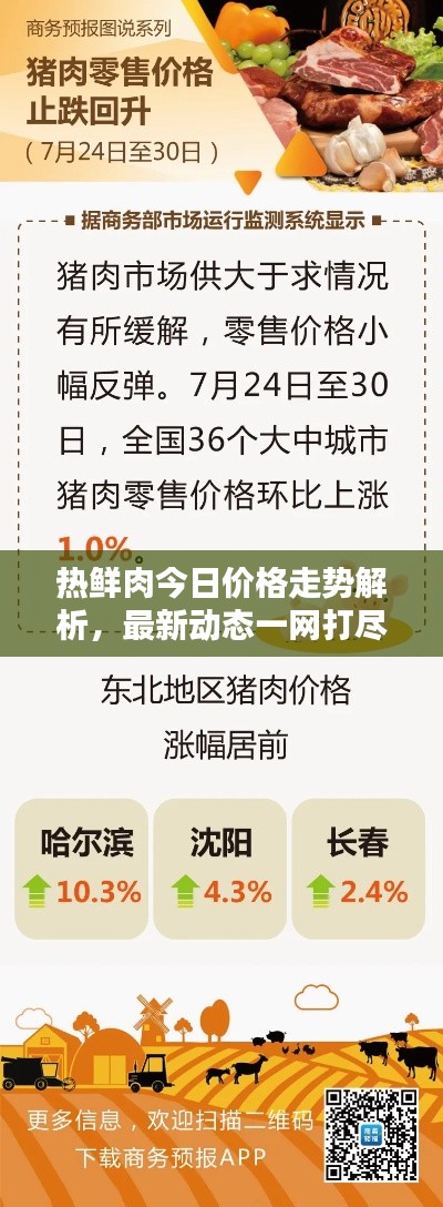熱鮮肉今日價格走勢解析，最新動態一網打盡！