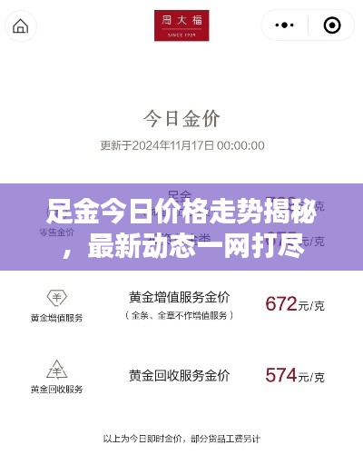 足金今日價格走勢揭秘，最新動態一網打盡