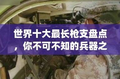 世界十大最長(zhǎng)槍支盤點(diǎn)，你不可不知的兵器之王排名！