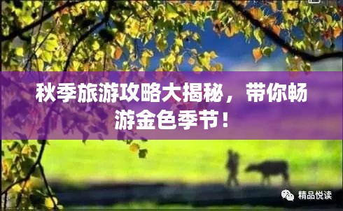 秋季旅游攻略大揭秘,帶你暢游金色季節!