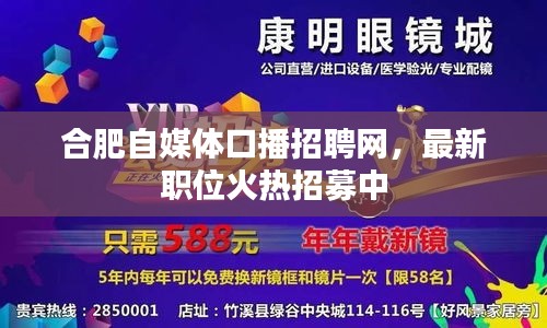 合肥自媒體口播招聘網,最新職位火熱招募中