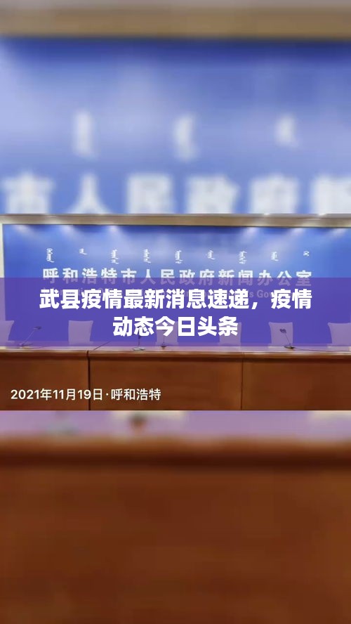 武縣疫情最新消息速遞，疫情動態今日頭條