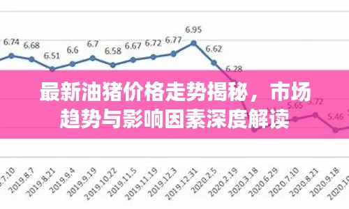 最新油豬價格走勢揭秘,市場趨勢與影響因素深度解讀