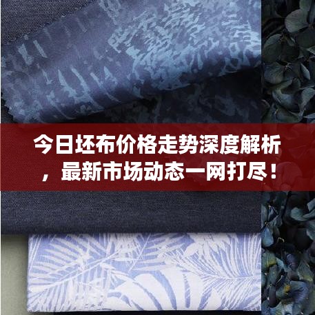 草率從事 第3頁