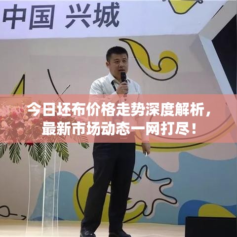 今日坯布價格走勢深度解析,最新市場動態一網打盡!