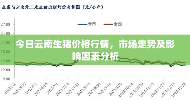 今日云南生豬價格行情,市場走勢及影響因素分析