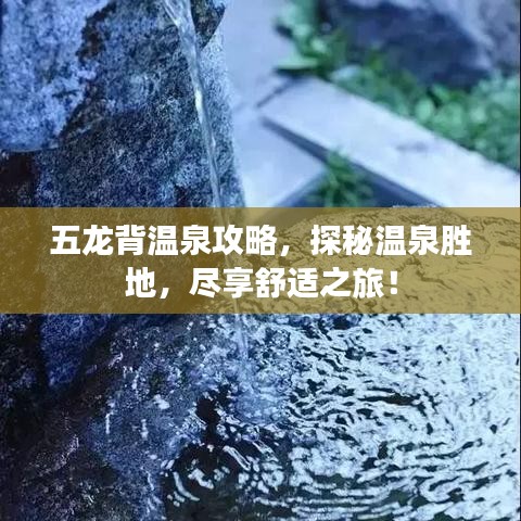 五龍背溫泉攻略，探秘溫泉勝地，盡享舒適之旅！