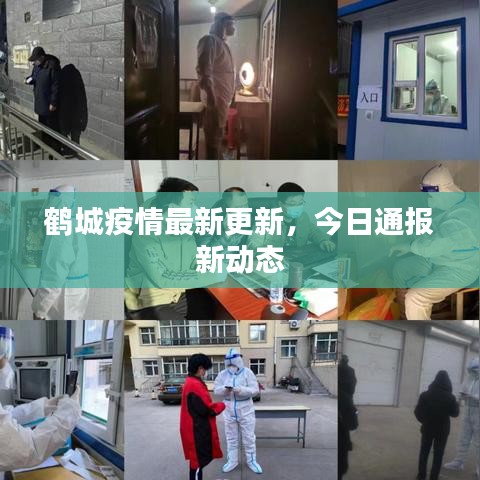 鶴城疫情最新更新，今日通報新動態