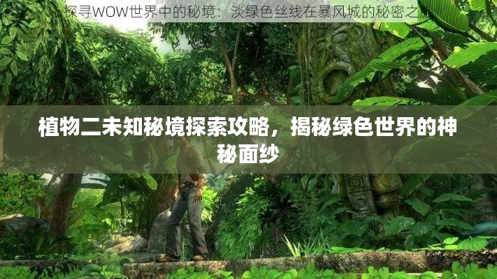 植物二未知秘境探索攻略，揭秘綠色世界的神秘面紗