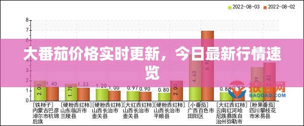 大番茄價格實時更新，今日最新行情速覽