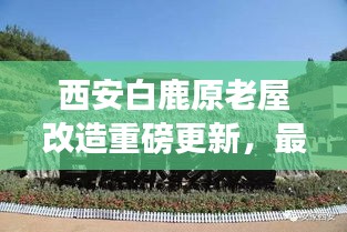 西安白鹿原老屋改造重磅更新，最新動態揭秘