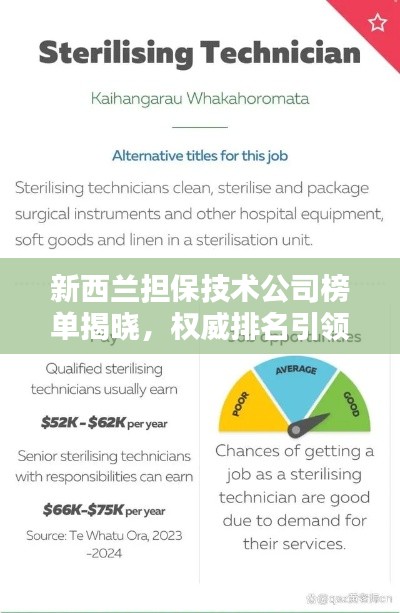 新西蘭擔保技術公司榜單揭曉,權威排名引領行業(yè)風向標