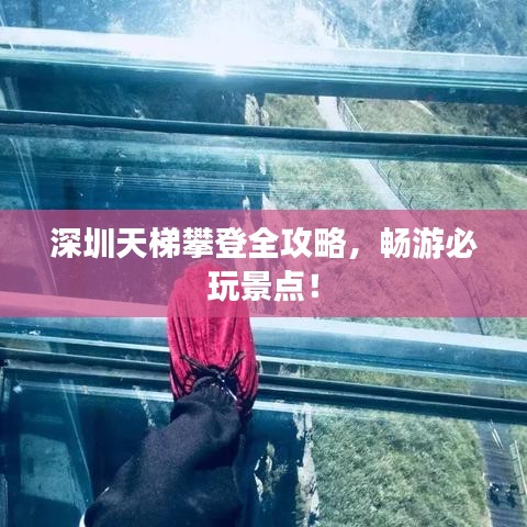 深圳天梯攀登全攻略,暢游必玩景點!