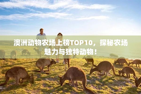 澳洲動(dòng)物農(nóng)場上榜TOP10,探秘農(nóng)場魅力與獨(dú)特動(dòng)物!
