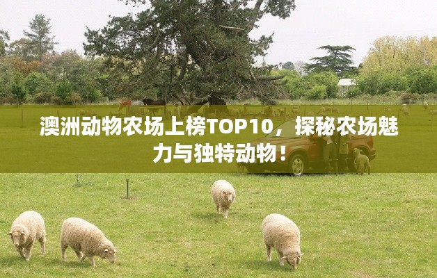 澳洲動(dòng)物農(nóng)場上榜TOP10,探秘農(nóng)場魅力與獨(dú)特動(dòng)物!