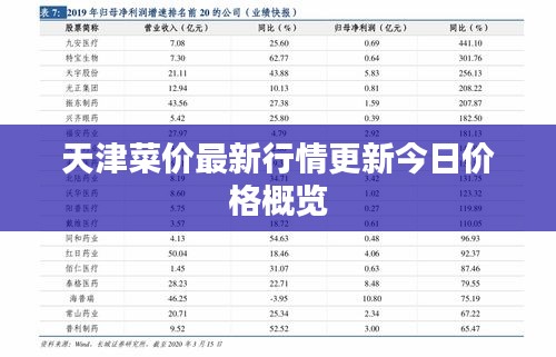 天津菜價(jià)最新行情更新今日價(jià)格概覽