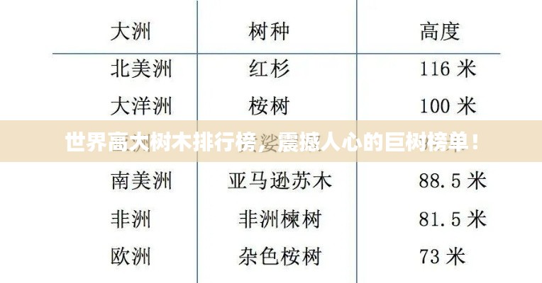 世界高大樹木排行榜,震撼人心的巨樹榜單!