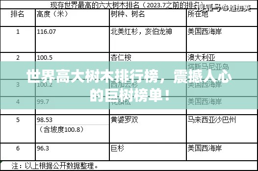 世界高大樹木排行榜,震撼人心的巨樹榜單!