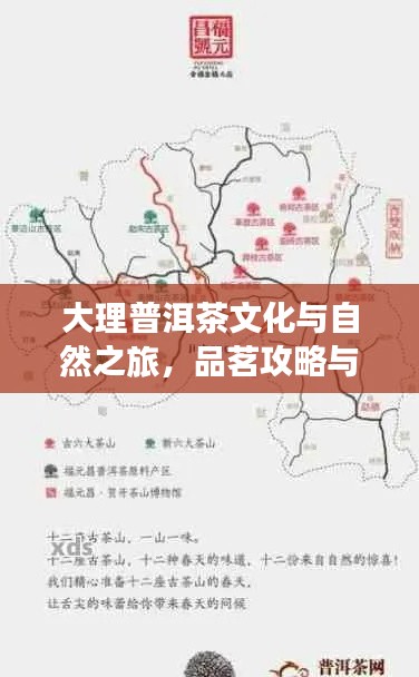 大理普洱茶文化與自然之旅,品茗攻略與旅行指南雙重體驗