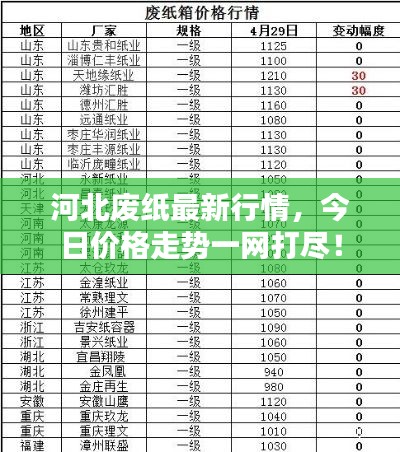 河北廢紙最新行情，今日價格走勢一網打盡！