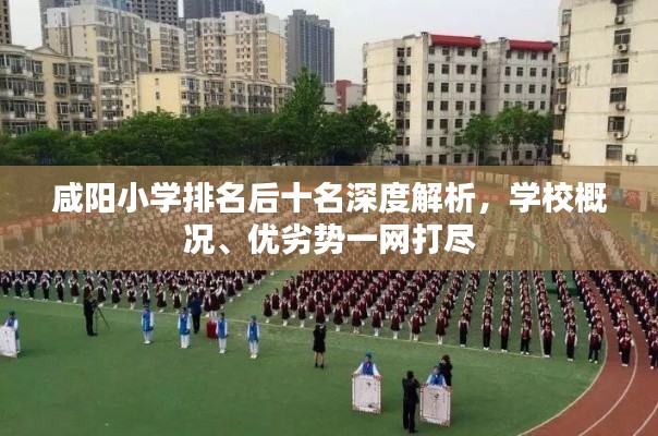 咸陽(yáng)小學(xué)排名后十名深度解析，學(xué)校概況、優(yōu)劣勢(shì)一網(wǎng)打盡