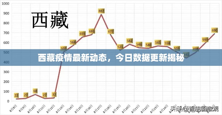 西藏疫情最新動態，今日數據更新揭秘