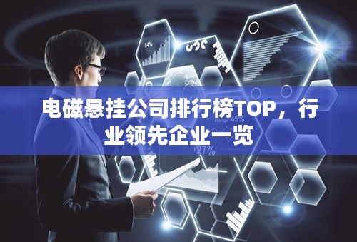 電磁懸掛公司排行榜TOP，行業領先企業一覽