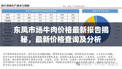 東鳳市場牛肉價格最新報告揭秘,最新價格查詢及分析