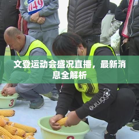 文登運動會盛況直播，最新消息全解析