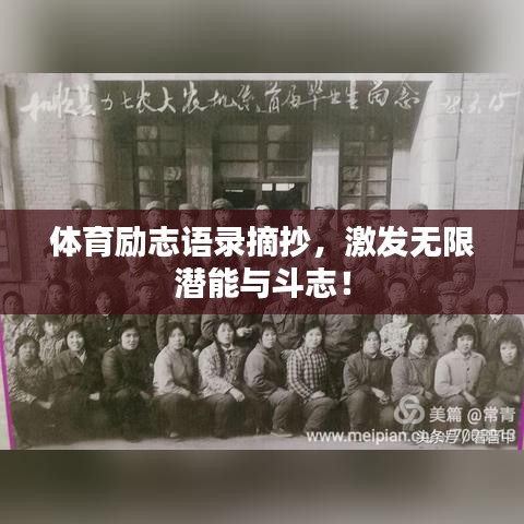 體育勵志語錄摘抄,激發無限潛能與斗志!