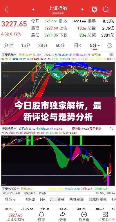 今日股市獨(dú)家解析,最新評(píng)論與走勢(shì)分析