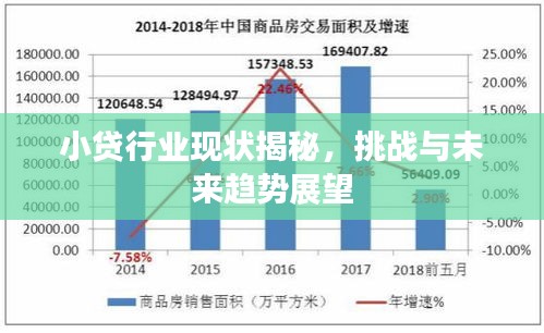 小貸行業現狀揭秘,挑戰與未來趨勢展望