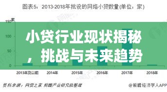 小貸行業(yè)現(xiàn)狀揭秘,挑戰(zhàn)與未來趨勢(shì)展望