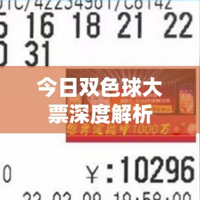 今日雙色球大票深度解析