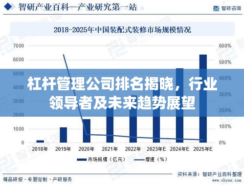 杠桿管理公司排名揭曉，行業領導者及未來趨勢展望