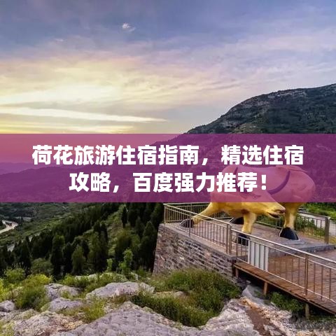 荷花旅游住宿指南,精選住宿攻略,百度強(qiáng)力推薦!