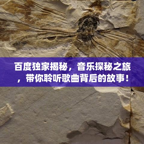 百度獨(dú)家揭秘,音樂探秘之旅,帶你聆聽歌曲背后的故事!