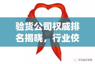 驗貨公司權威排名揭曉,行業佼佼者一覽無余