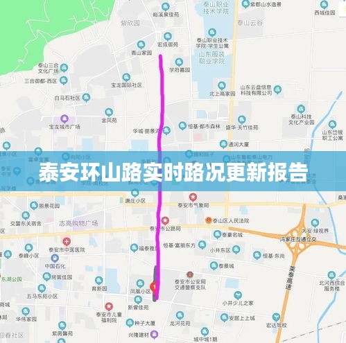 泰安環山路實時路況更新報告