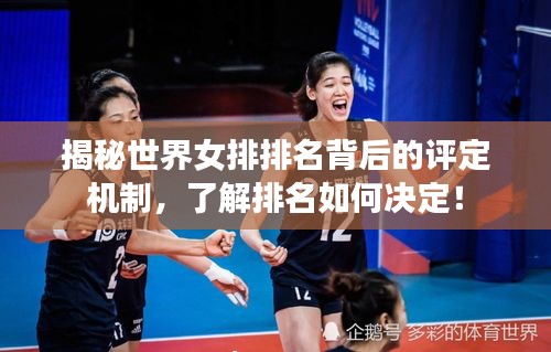 揭秘世界女排排名背后的評定機制，了解排名如何決定！