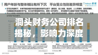洞頭財(cái)務(wù)公司排名揭秘,影響力深度剖析