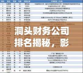 洞頭財務公司排名揭秘，影響力深度剖析