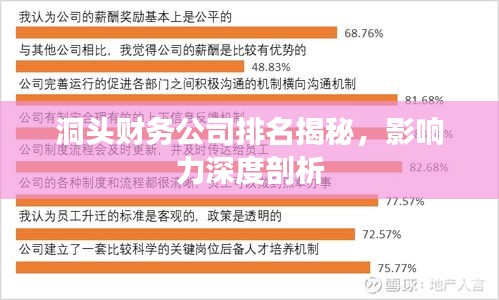 洞頭財(cái)務(wù)公司排名揭秘,影響力深度剖析