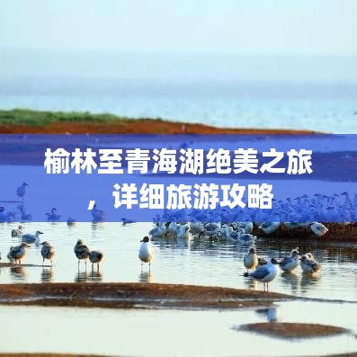 無獨(dú)有偶 第2頁(yè)