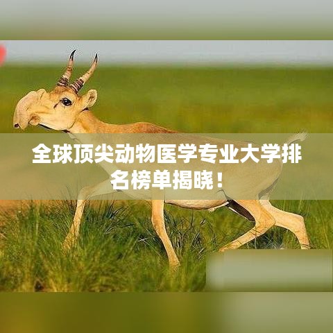 全球頂尖動物醫學專業大學排名榜單揭曉！