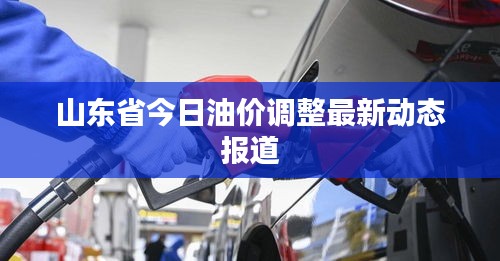 山東省今日油價調整最新動態報道