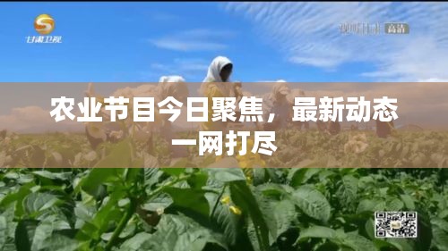 農業節目今日聚焦，最新動態一網打盡