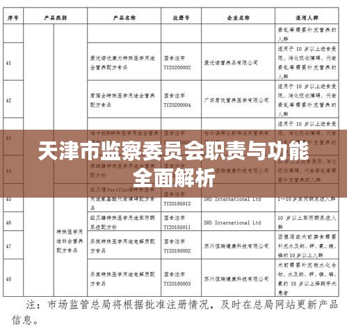 天津市監察委員會職責與功能全面解析